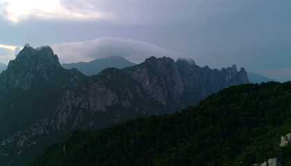 Mountain range shrouded in mist