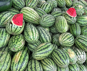 Fresh Sweet Watermelons with Red Slice – Summer Fruit Market Photography