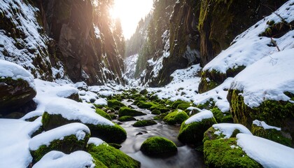 Snowy Gorge Stream Flow