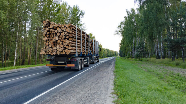 Long heavy industrial wood carrier cargo vessel truck trailer with big timber driving on highway road. Back view. Timber export and shipping concept