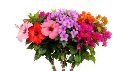 Fototapeta premium Bouquet of colorful hibiscus, bougainvillea, and azalea flowers isolated on transparent background, perfect for tropical and floral designs