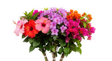 Bouquet of colorful hibiscus, bougainvillea, and azalea flowers isolated on transparent background, perfect for tropical and floral designs