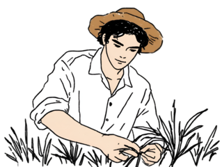 Illustration of a man working in a field, harvesting crops with care isolated on transparent background