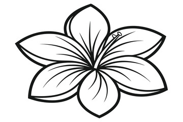 Elegant Black and White Floral Design Illustration of a Stylized Blossom with Delicate Petals and Intricate Details for Creative Projects