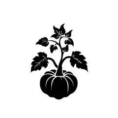 Black silhouette of a pumpkin plant with leaves and vines