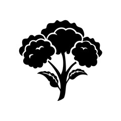 Black and White Cauliflower Plant Illustration with Abstract Leaf Design