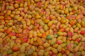 Pile of fresh ripe mangoes in shades of yellow, orange, and red displayed at a market stall