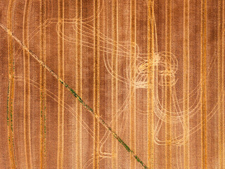 Aerial view of agricultural farmland, freshly ploughed and harvested in the mid day sun. Bright colours. Summer drone photograph copy space no people. Markings from tractor in field.