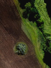 Aerial view of agricultural farmland, freshly ploughed and harvested in the mid day sun. Bright colours. Summer drone photograph copy space no people