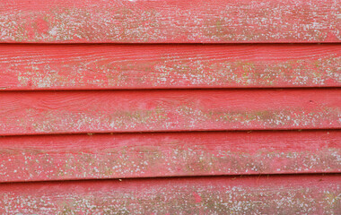 Moldy red siding