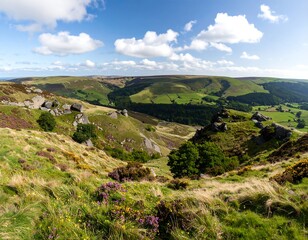 High-angle view of rolling hills and valleys, vibrant greenery, and scattered rocks