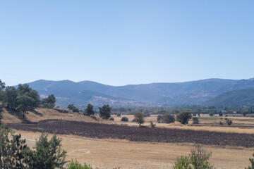 Idyllic Village Farmlands Amidst Mountains at Noon