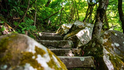Stone steps wind upward through a lush forest, sunlight dappling the mossy rocks.