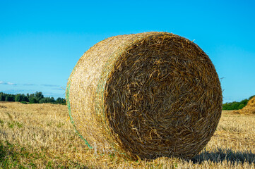 A large round hay bale rests in a harvested field, surrounded by a bright blue sky and golden straw, signaling autumn's arrival