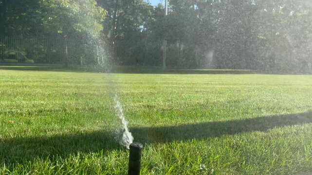 A detailed close-up view of a lawn irrigation sprinkler watering green grass. Represents garden care, landscaping technology, and efficient water management for outdoor spaces.
