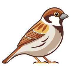 Realistic illustration of a house sparrow with detailed brown and beige feathers bird avian