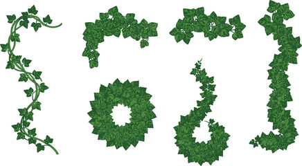 Decorative Ivy Leaf Vines Vector Set – Curved Green Leafy Plants, Circular Wreaths, Twisted Botanical Elements, Natural Garden Frames, Wild Foliage Designs