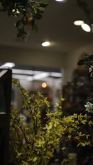 yellow decorative flower bush in front of an out of focus background inside of a store. 