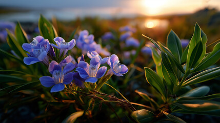 Close-up of blue wildflowers glowing with golden sunlight as green leaves frame the horizon at dawn.