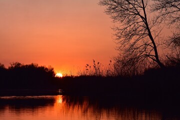 Sunset on the river with willows in the foreground and reflection in the water