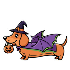 Adorable Halloween Sausage Dog in witch Costume with Trick or Treat Pumpkin Cartoon Illustration