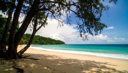 Tropical Beach Scene (2)