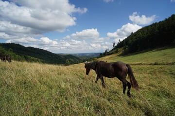 Góry Kamienne © Strumyk