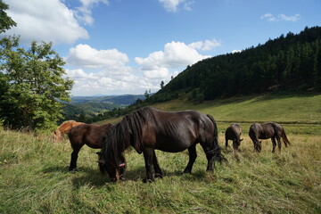 Góry Kamienne © Strumyk