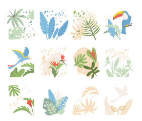 Tropical Birds and Foliage Collection