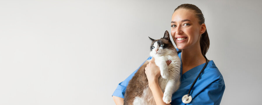 Portrait Of Happy Veterinarian Doctor Woman Holding A Cat, Posing With Healthy Feline Patient Over Gray Studio Background, Smiling At Camera. Pet Health Care And Routine Check Up Concept, Copy Space