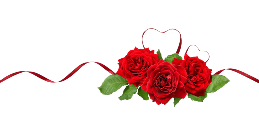 Red silk ribbon hearts and waves with rose flowers and leaves  isolated on white or transparent background for Valentine's day