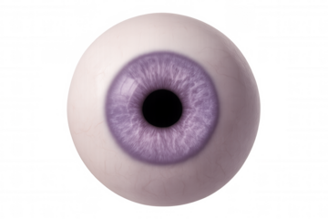 Isolated realistic purple eye staring with transparent background, perfect for compositing and creative projects