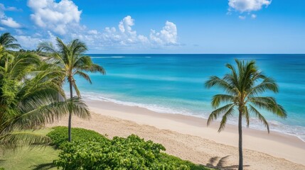 A serene beach scene featuring golden sand, turquoise water, and palm trees under a clear blue sky.