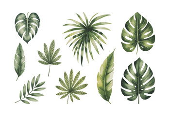 Tropical monstera and palm leaves set in soft watercolor botanical style. Hand painted exotic green foliage collection isolated on white background. © Artverza