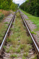 Fototapeta premium Overgrown Railway Tracks in Nature