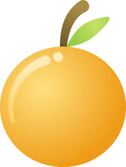 illustration of an orange fruit