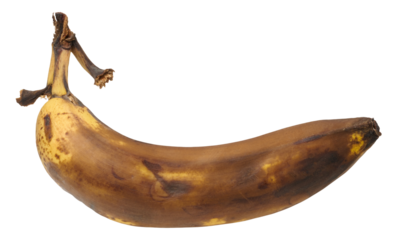 Rotten banana on isolated background