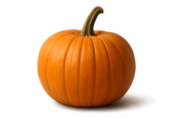 Obraz premium Vivid orange pumpkin with curved stem isolated on white background for fall themes