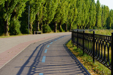 Winding pathway alongside a lush tree line in a serene park setting during daylight hours