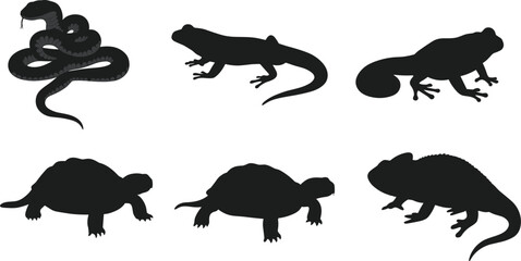 Snake silhouette, lizard design, frog icon, turtle shape, chameleon art, reptile amphibian, wildlife animal, nature species, black graphic, flat vector illustration