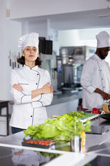 Portrait of culinary professional making gourmet meals with tools and fresh produce, working in a restaurant kitchen with stainless steel utensils. Cooking on the stove and following recipes.