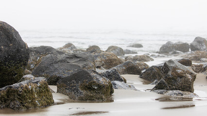Waves roll in endlessly, breaking apart on the wild, rocky shores of Oregon.