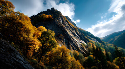 Dense autumn forest climbig up golden mountain slope under a clear sky.
