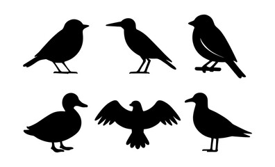 Silhouette bird collection: diverse bird species in simple black shapes