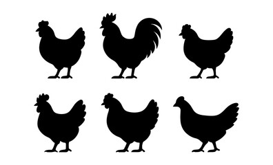 Fototapeta premium Silhouette collection of roosters and hens in various poses on white background