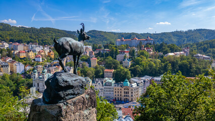 Chamois overlooking Karlovy Vary, Czech republic © dudlajzov
