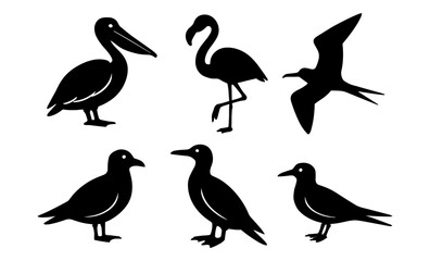 Obraz premium Silhouette collection of various birds in black and white design