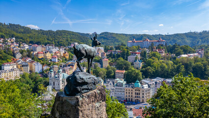 Chamois overlooking Karlovy Vary, Czech republic © dudlajzov