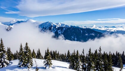 A breathtaking vista of snow-capped mountains, shrouded in a sea of clouds, with a foreground of winter forest.