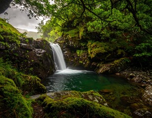 Obraz premium Waterfall in Lush Forest (2)